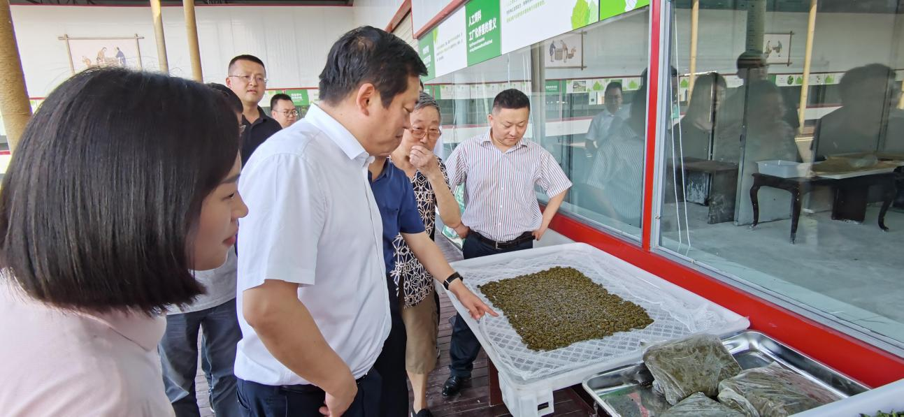 省尊龙凯时集团党委副书记、董事陈日赴嘉陵区调研茶桑产业发展情况